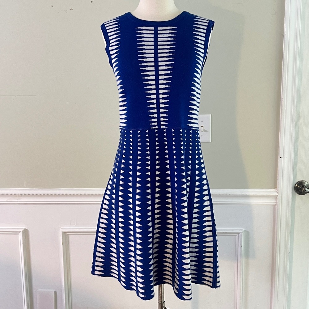Esley Sweater Dress M Womens Geometric Knit Fit Flare Sleeveless Blue White Mod